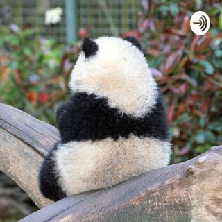 PANDACAST