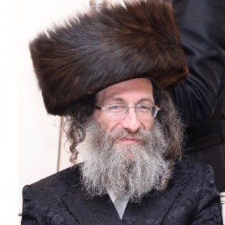 Rabbi Elimelech Biderman ×”×¨×”