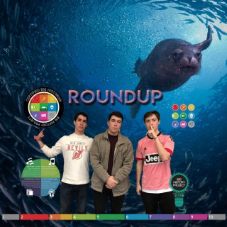 The Big History Roundup