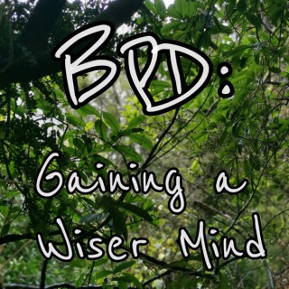 BPD: Gaining a Wiser Mind
