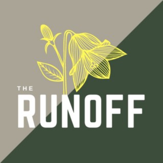 The Runoff