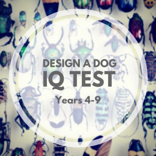 Design a Dog IQ Test