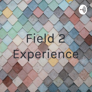 Field 2 Experience