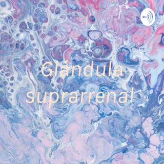 Glándula suprarrenal