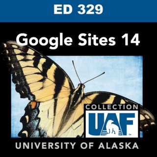 Google Sites 14