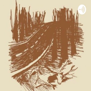 Heed The Woods
