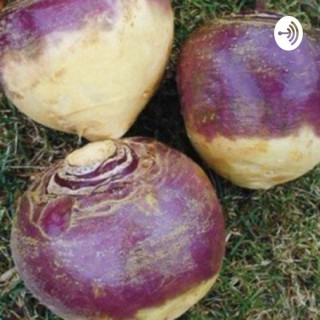 Lars the Rutabaga