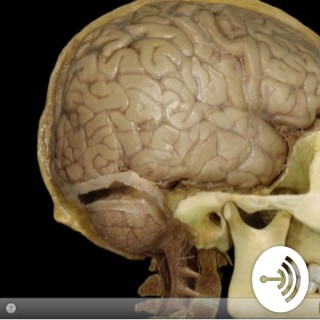 Learning Biology