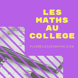 Les Maths Au College