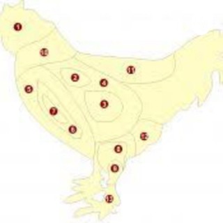 Limpeza e Cortes de aves