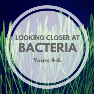 Looking Closer at Bacteria