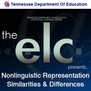 Nonlinguistic  Representation - Similarities & Differences