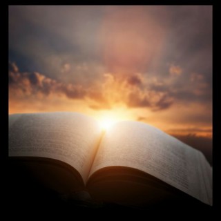 Survey of the Bible