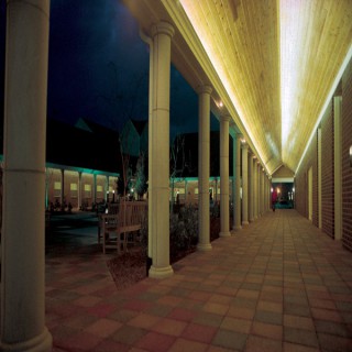 University College