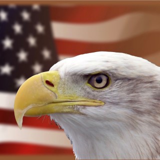USArmed Podcast