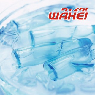 WAKE UP YOUR MIND!