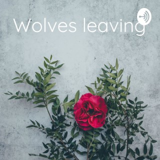 Wolves leaving: Grizzly Bear prospective