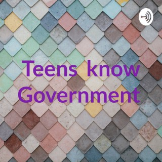 Teens know Government