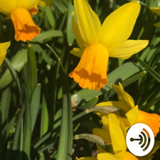 Heal & Thrive After Narcissistic Abuse