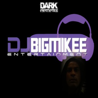 Dj Big Mikee