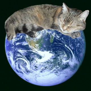 Planetcat