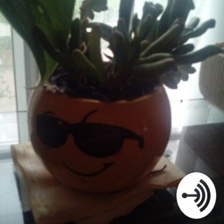 Podcast Records