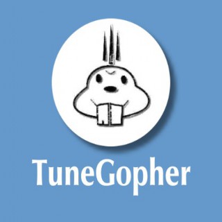 TuneGopher Podcast