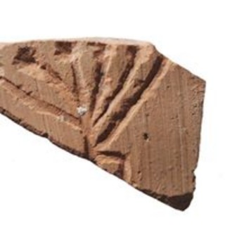 Lumen Olivarum