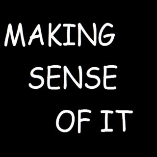 Making Sense Of It