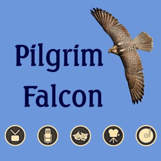 Pilgrim Falcon