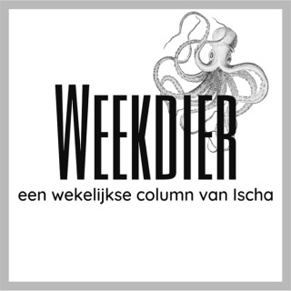 Weekdier