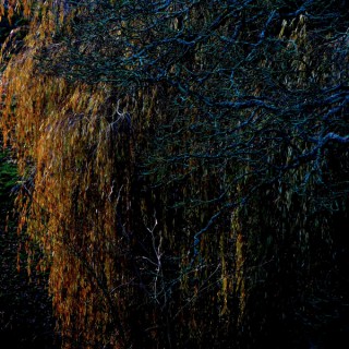Port Bazaar Presents - Poetry - Rambles - Prose