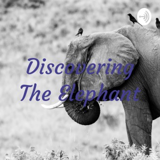 Discovering The Elephant