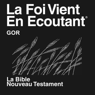 Gor Bible (non-dramatisé) - Gor Bible (Non-dramatized)