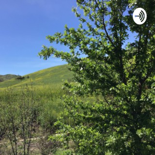 Riches and wealth and wisdom from the Lord