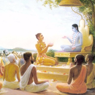 Srimad Bhagavatam Dialy