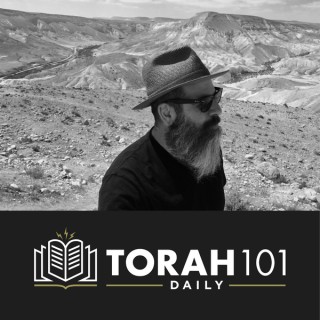 Torah 101 Daily