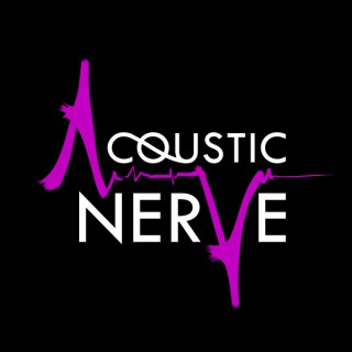 Acoustic Nerve