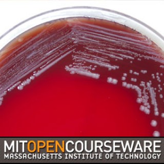 Chemistry in Action: Profiles of MIT Researchers