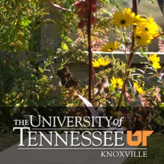 Family and Consumer Sciences