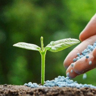 Fertilizer Podcast
