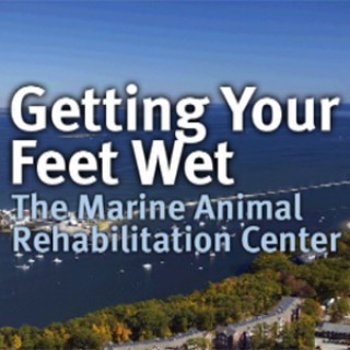 Getting Your Feet Wet