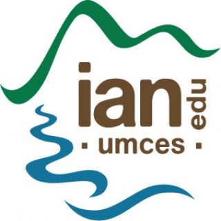 IAN Seminar Series