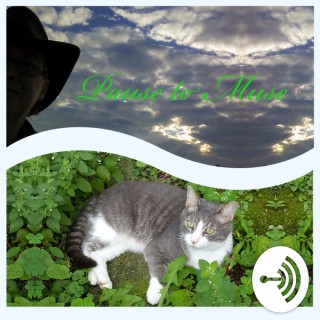 Pause to Muse Inspiring Flash Podcasts