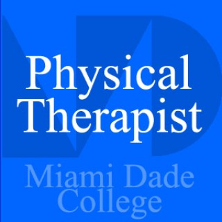 Physical Therapist - Ken Lee - Hip Closed Chain Exercises