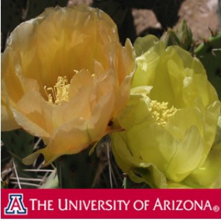 PLS 360 Plant Growth and Physiology Spring 2013