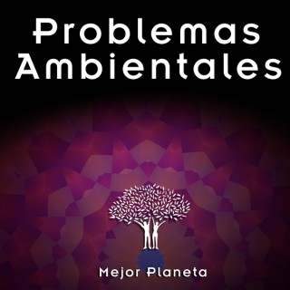 Problemas Ambientales