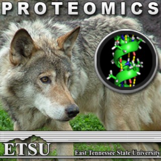 Proteomics