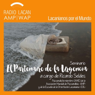 RadioLacan.com | Reseña sobre el seminario de Ricardo Seldes: El partenaire de la urgencia