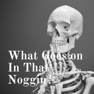 What Goes on In That Noggin?